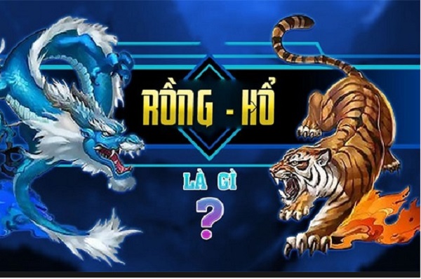 Chơi Rồng hổ online có thể chiến thắng không Chơi Rồng hổ online có thể chiến thắng không