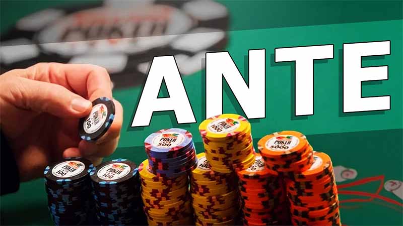 Ante Poker là gì? Giải mã thuật ngữ khiến người chơi dễ nhầm lẫn 