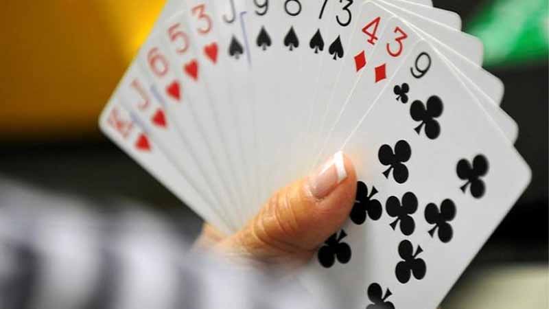 Đánh bài không ăn tiền có bị phạt không? Giải đáp rõ ràng