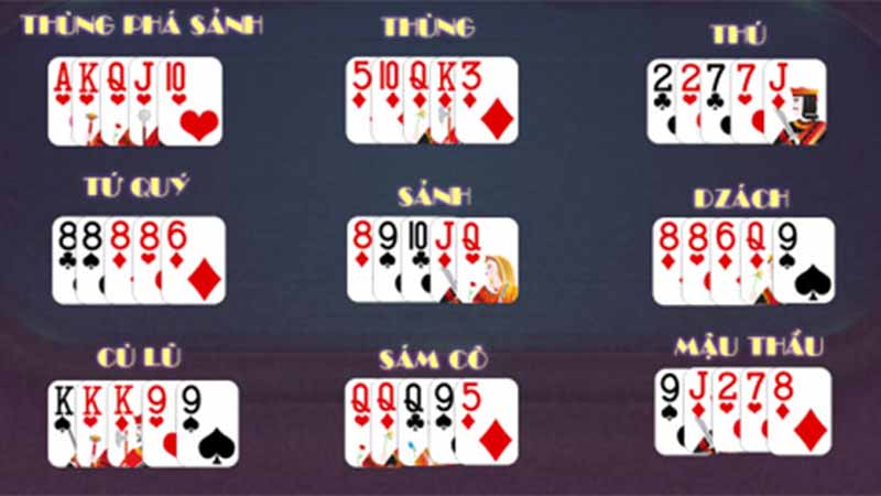 Thuật ngữ bài binh xập xám: Tổng hợp đầy đủ từ A–Z cho người mới 